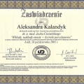 Powiększ obraz: certificate 9