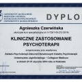 Powiększ obraz: certificate 3