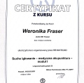 Powiększ obraz: certificate 5