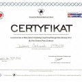 Powiększ obraz: certificate 6