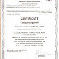 Powiększ obraz: certificate 16