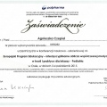 Powiększ obraz: certificate 19