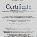 Powiększ obraz: certificate 9