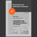 Powiększ obraz: certificate 20