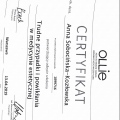 Powiększ obraz: certificate 1