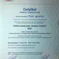 Powiększ obraz: certificate 9