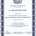 Powiększ obraz: certificate 9