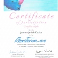 Powiększ obraz: certificate 9