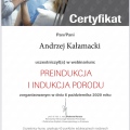 Powiększ obraz: certificate 28