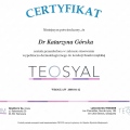 Powiększ obraz: certificate 17