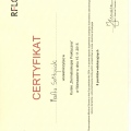 Powiększ obraz: certificate 2