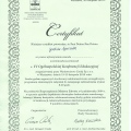 Powiększ obraz: certificate 27