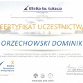 Powiększ obraz: certificate 4