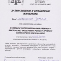 Powiększ obraz: certificate 2