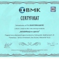 Powiększ obraz: certificate 2