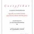 Powiększ obraz: certificate 3