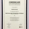 Powiększ obraz: certificate 2