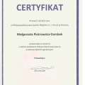 Powiększ obraz: certificate 29