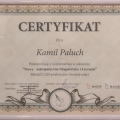 Powiększ obraz: certificate 4