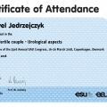 Powiększ obraz: certificate 6