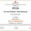 Powiększ obraz: certificate 47