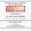 Powiększ obraz: certificate 6