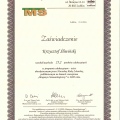 Powiększ obraz: certificate 6