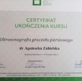 Powiększ obraz: certificate 5