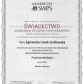 Powiększ obraz: certificate 4