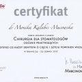 Powiększ obraz: certificate 8