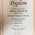 Powiększ obraz: certificate 5
