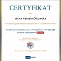 Powiększ obraz: certificate 44