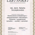 Powiększ obraz: certificate 2