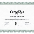 Powiększ obraz: certificate 17
