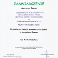 Powiększ obraz: certificate 38