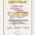Powiększ obraz: certificate 4