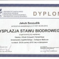 Powiększ obraz: certificate 10
