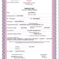 Powiększ obraz: certificate 5