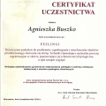 Powiększ obraz: certificate 8