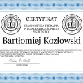 Powiększ obraz: certificate 7