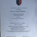 Powiększ obraz: certificate 9