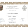 Powiększ obraz: certificate 23