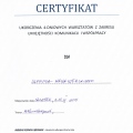 Powiększ obraz: certificate 28