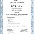 Powiększ obraz: certificate 4