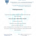 Powiększ obraz: certificate 13