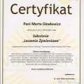 Powiększ obraz: certificate 28