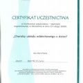 Powiększ obraz: certificate 3