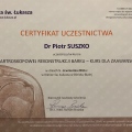 Powiększ obraz: certificate 2