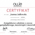Powiększ obraz: certificate 2