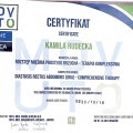 Powiększ obraz: certificate 20
